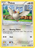 Pidove (78/108) [XY: Roaring Skies]