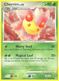 Cherrim (45/130) [Diamond & Pearl: Base Set]