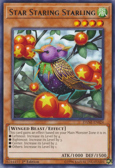 Star Staring Starling [DANE-EN024] Rare